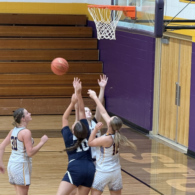 Plato MS basketball