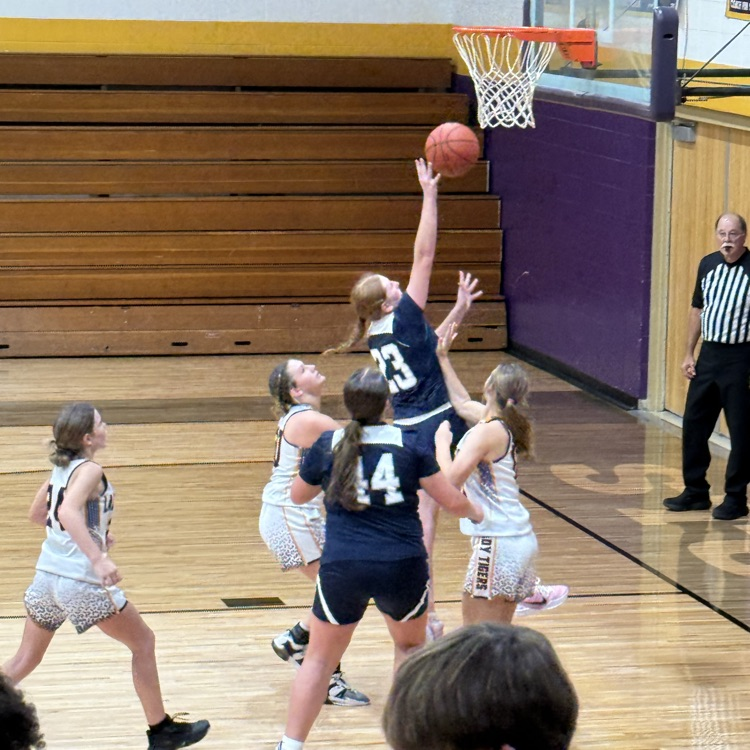 Plato MS basketball
