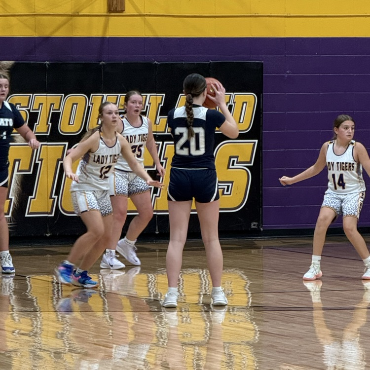 Plato MS basketball