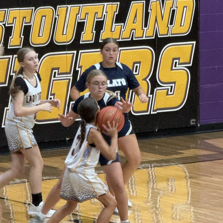 Plato MS basketball