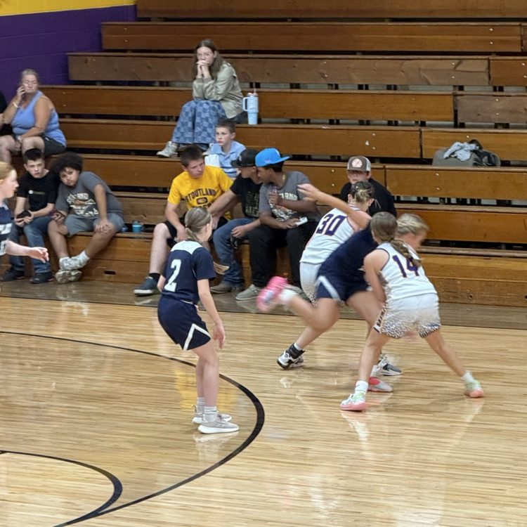 Plato MS basketball