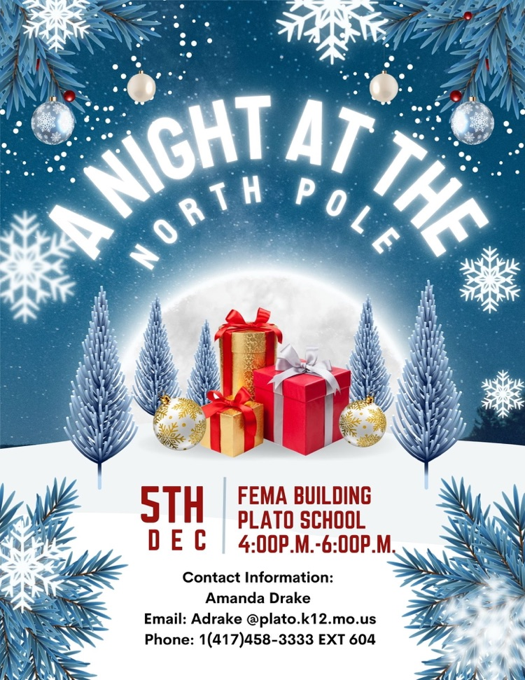 a night at the North Pole