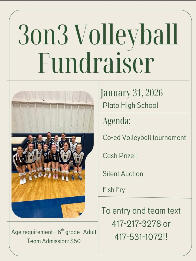 3on3 volleyball fundraiser