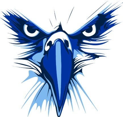 Eagle Image