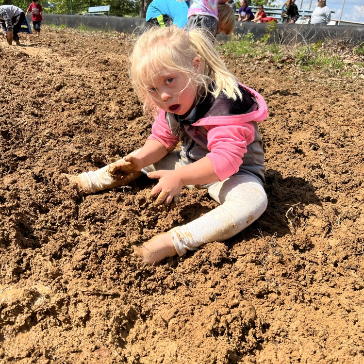 MUD festival