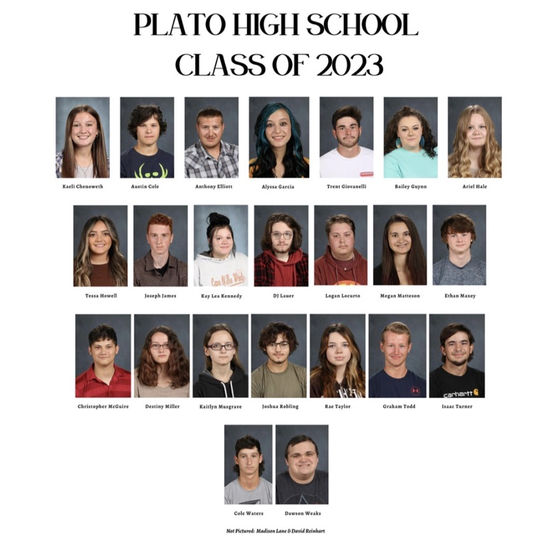 Senior composites