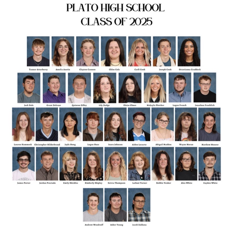 Senior composites