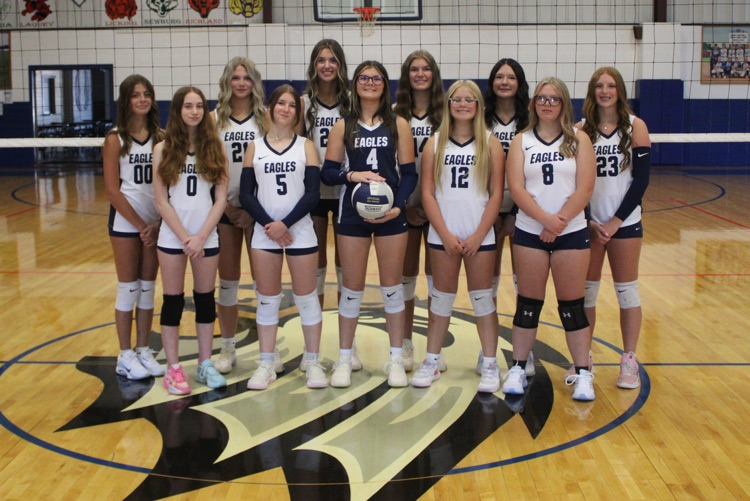 Volleyball fundraiser