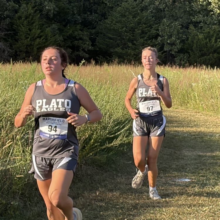 Plato xc