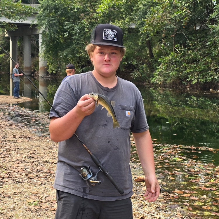 The Plato Wildlife Fisheries and Ecology class went to the roubidoux river to identify a sampling of the fish species.