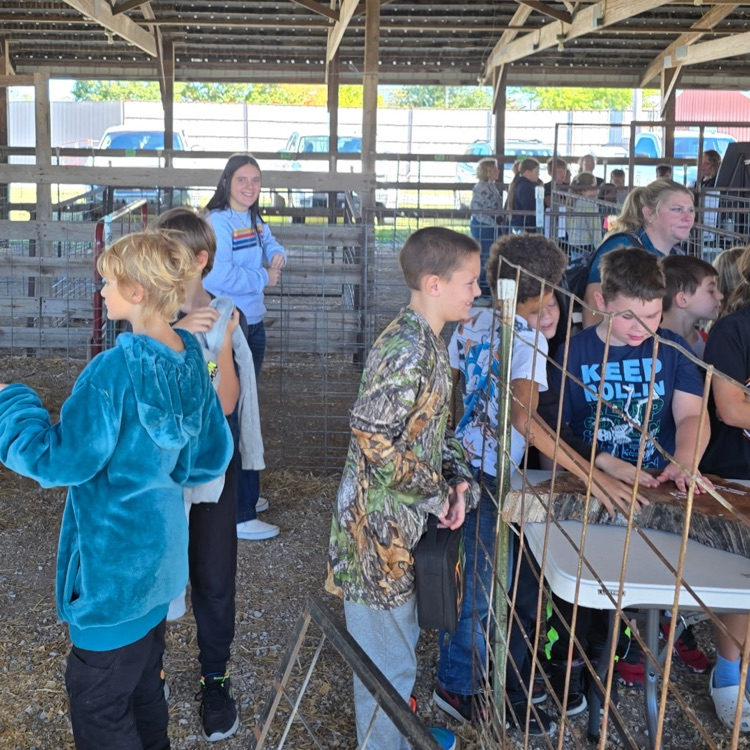 Plato FFA