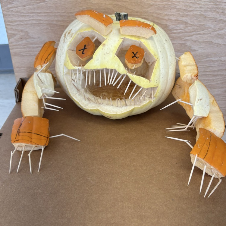 sophomore pumpkin contest