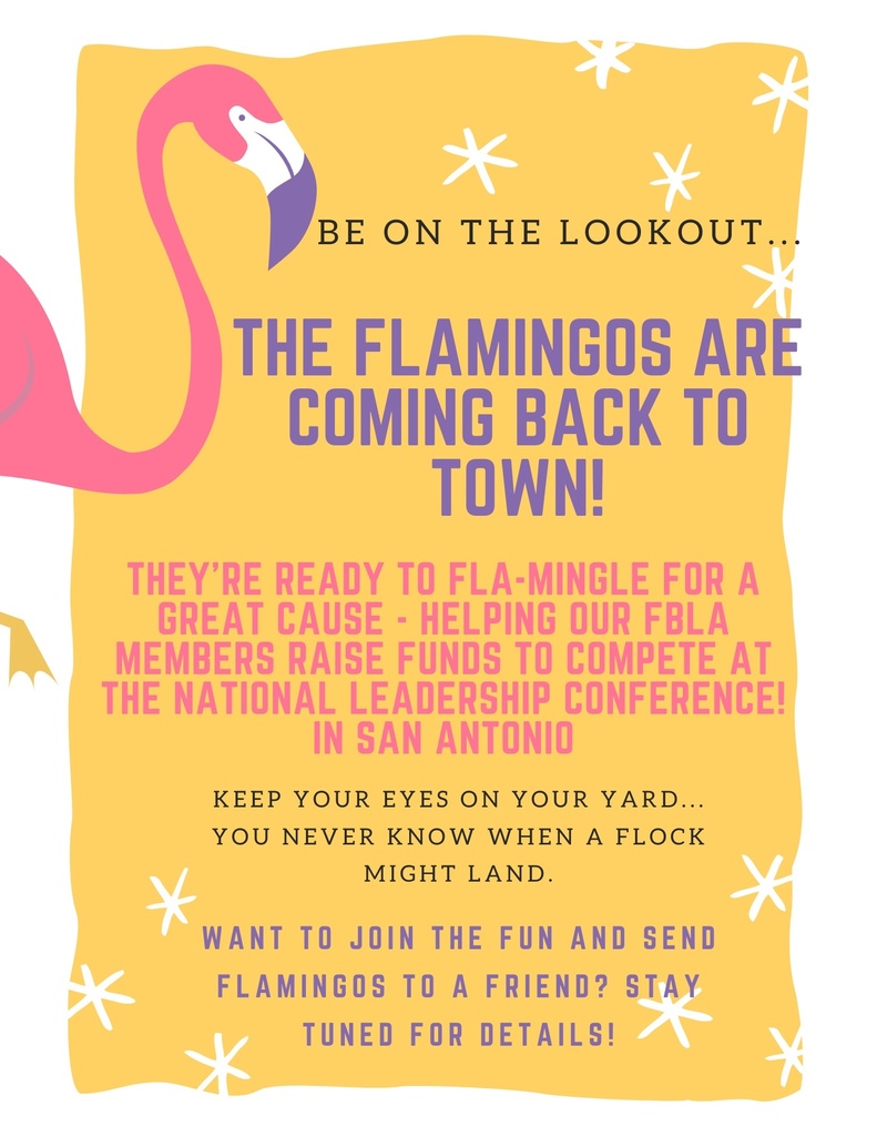 Flamingos are coming!