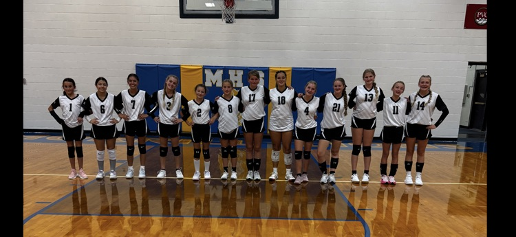 volleyball teams ha