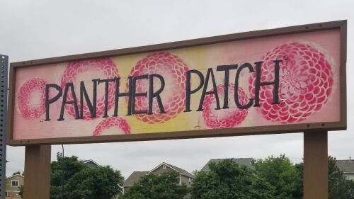 Panther Patch