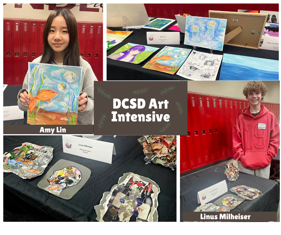 DCSD Art Intensive