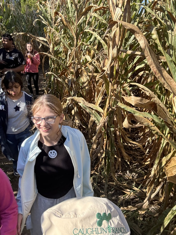 More of the corn maze!
