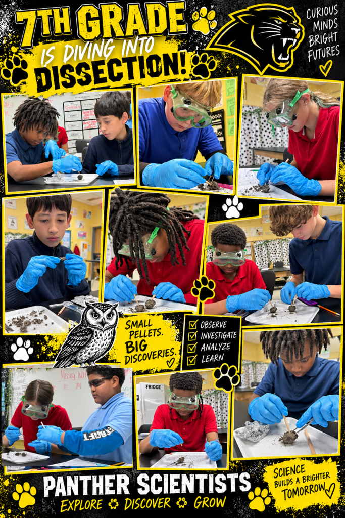 🔬🦉 7th Grade Dissection is well underway!