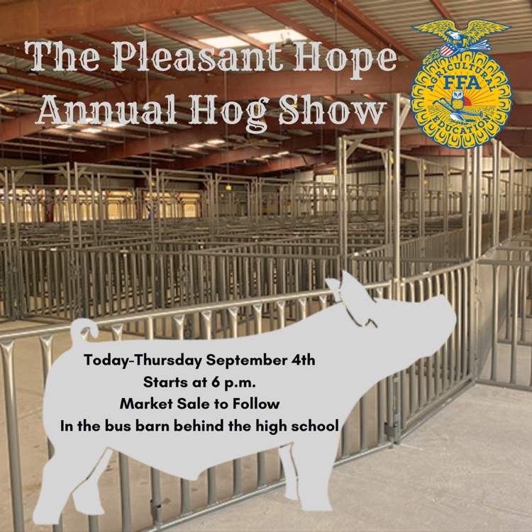 pig show 