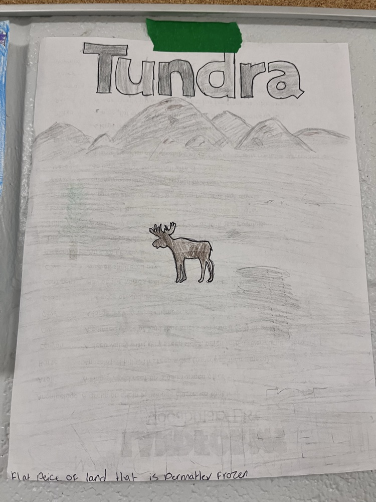 tundra