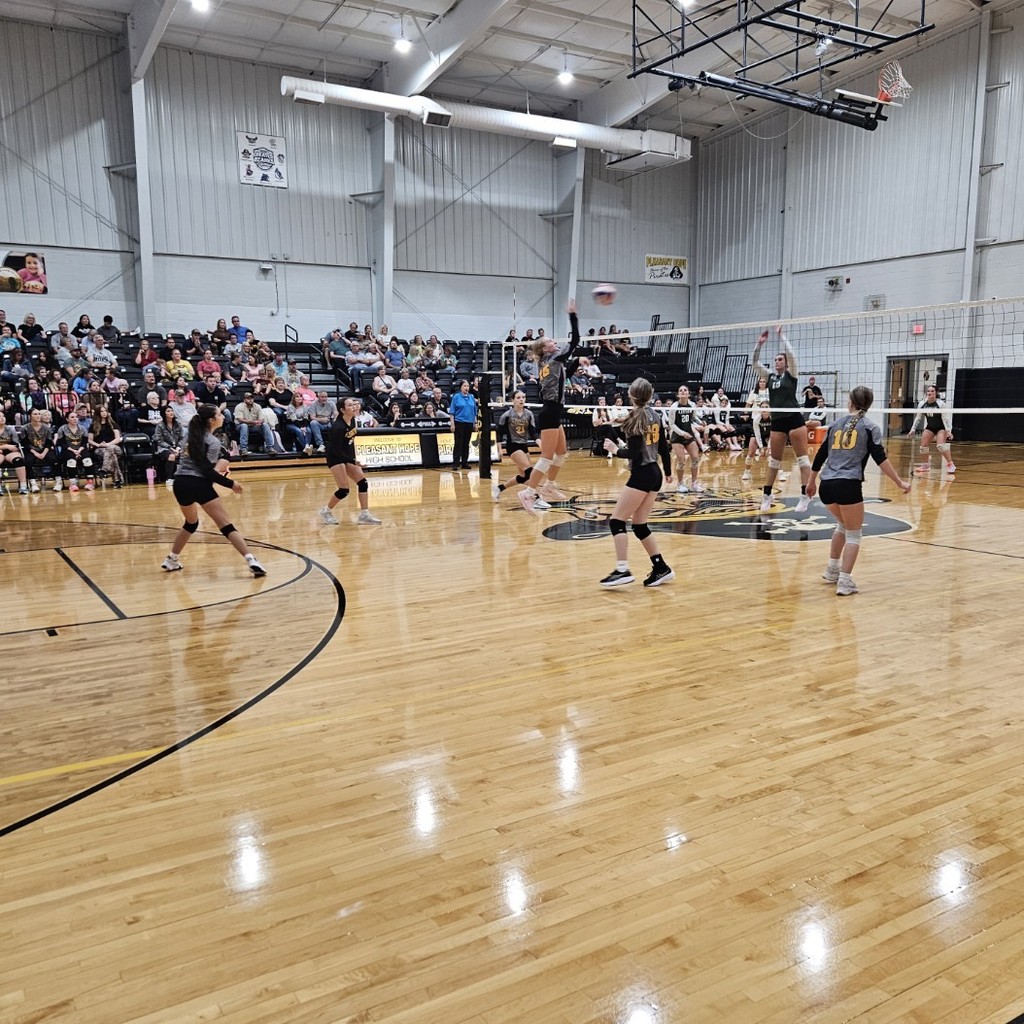 jvvb1