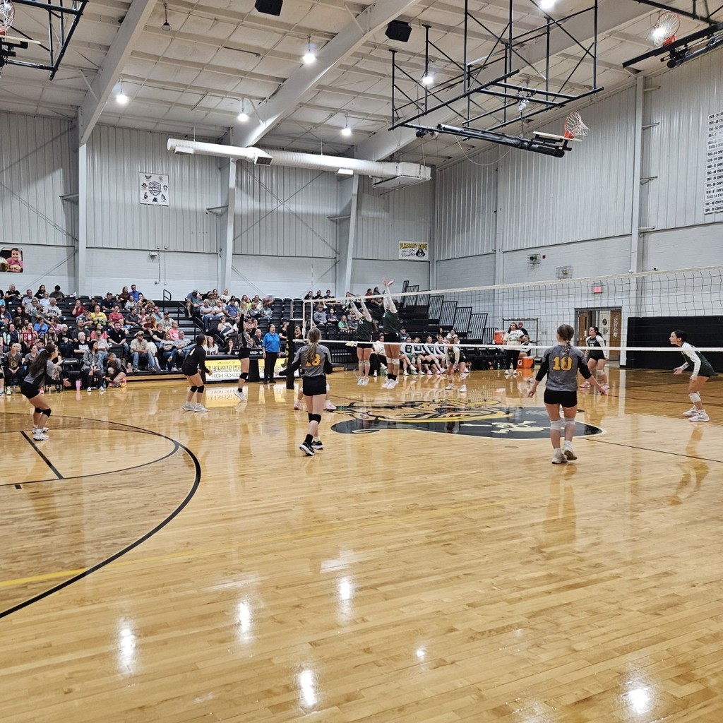 jvvb3