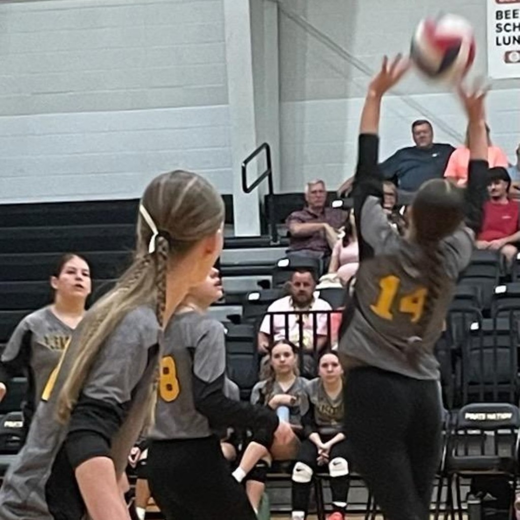 jvvb1