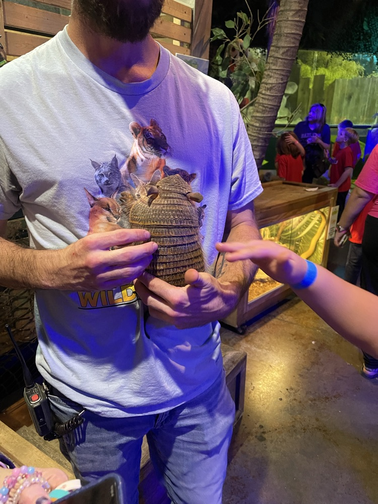 2nd graders enjoying Bransons Wild World!