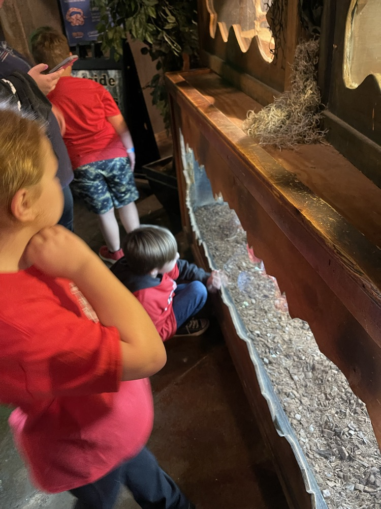 2nd graders enjoying Bransons Wild World!