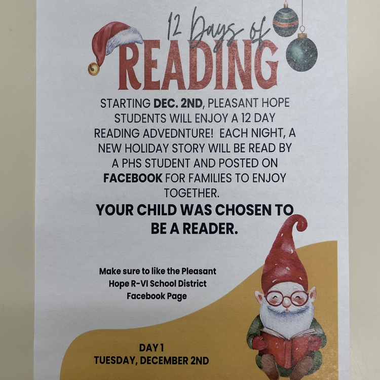 12 Days of READING