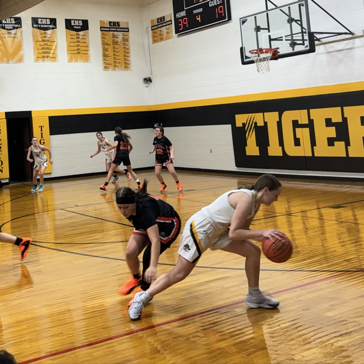 PHHS Lady Pirates Basketball vs. Humansville 6
