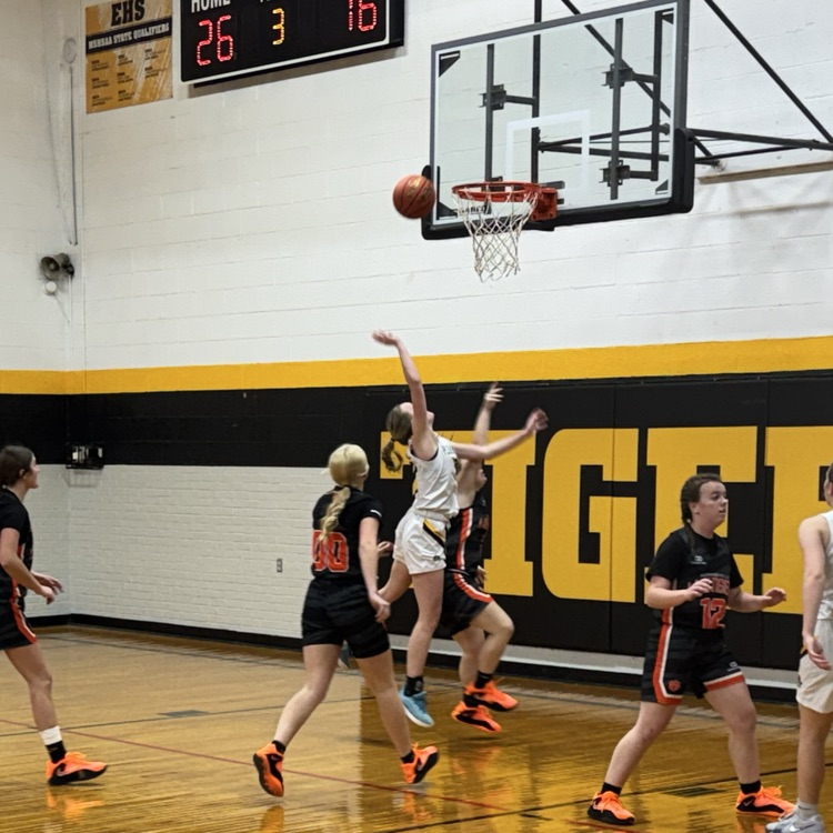 PHHS Lady Pirates Basketball vs. Humansville 8