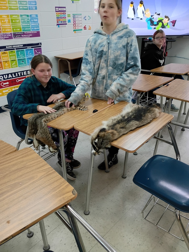 Fox, Otter, Beaver, Mink, Coyote, Bobcat and Raccoon
