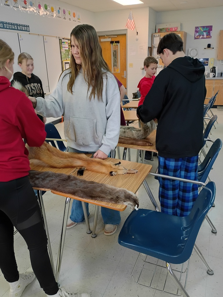Fox, Otter, Beaver, Mink, Coyote, Bobcat and Raccoon