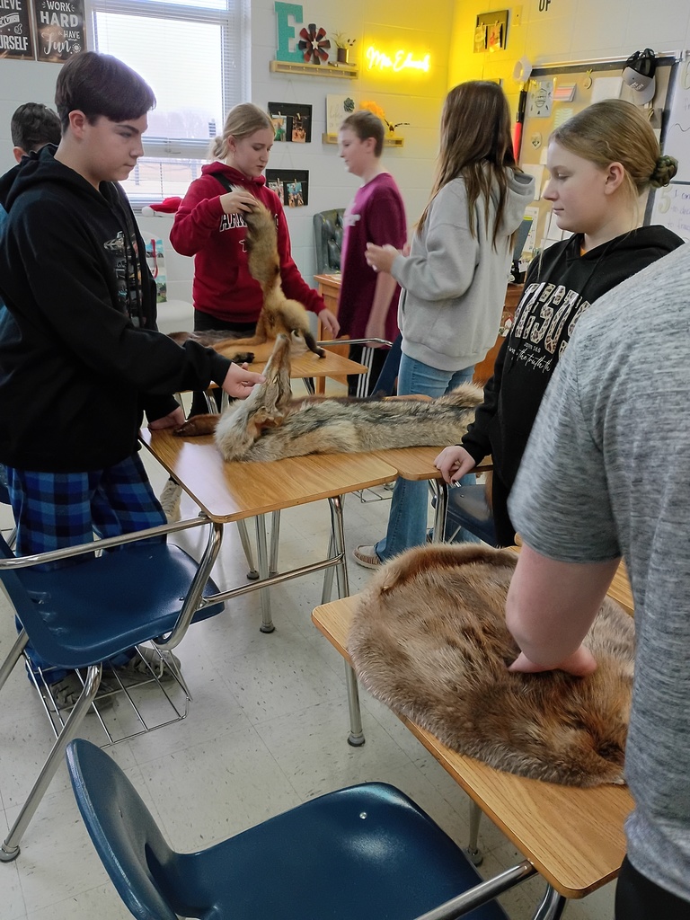 Fox, Otter, Beaver, Mink, Coyote, Bobcat and Raccoon