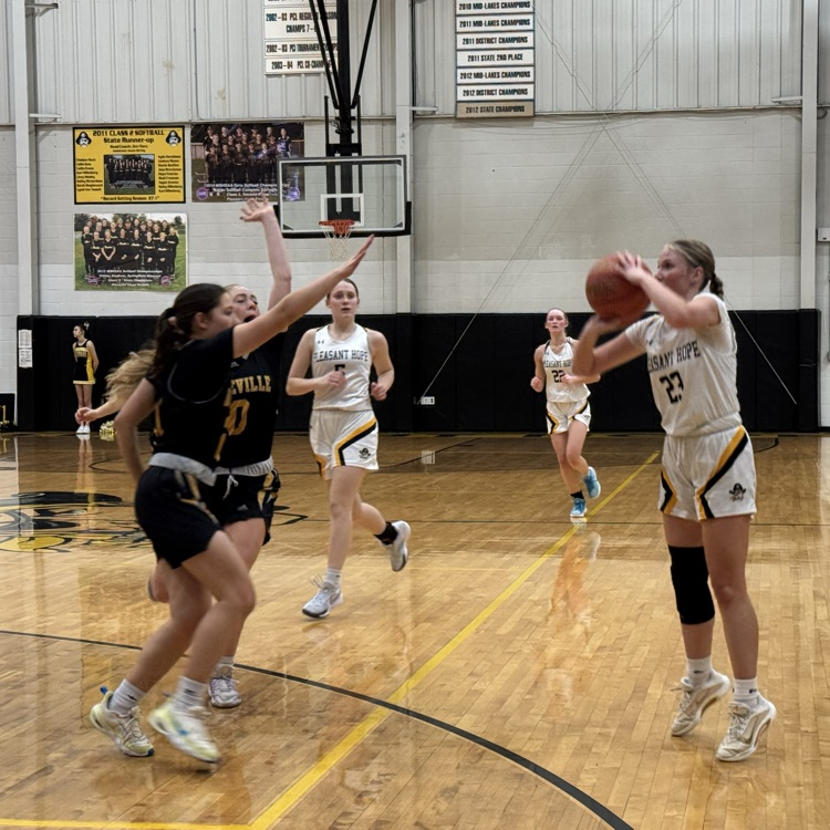 PHHS LADY PIRATES VS DADEVILLE- 3