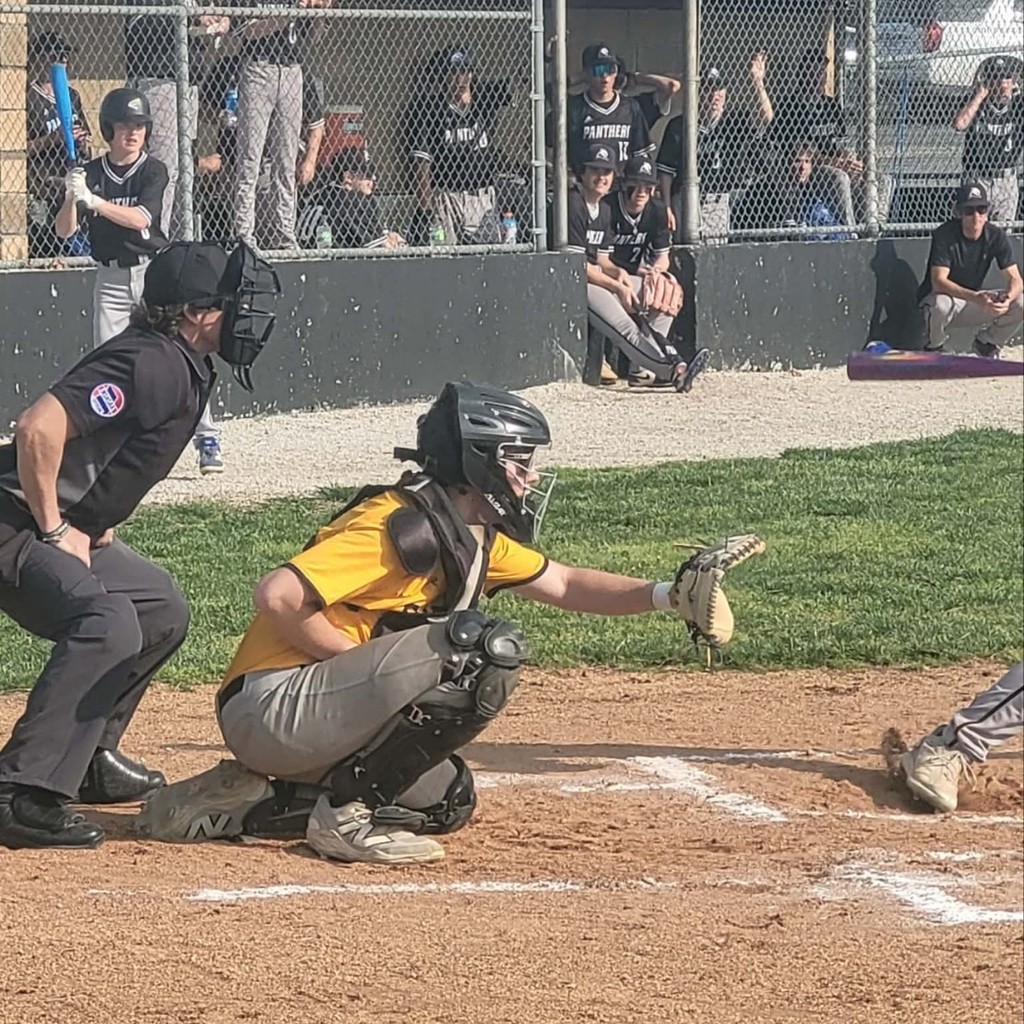 baseball catcher ready to receive the pitch