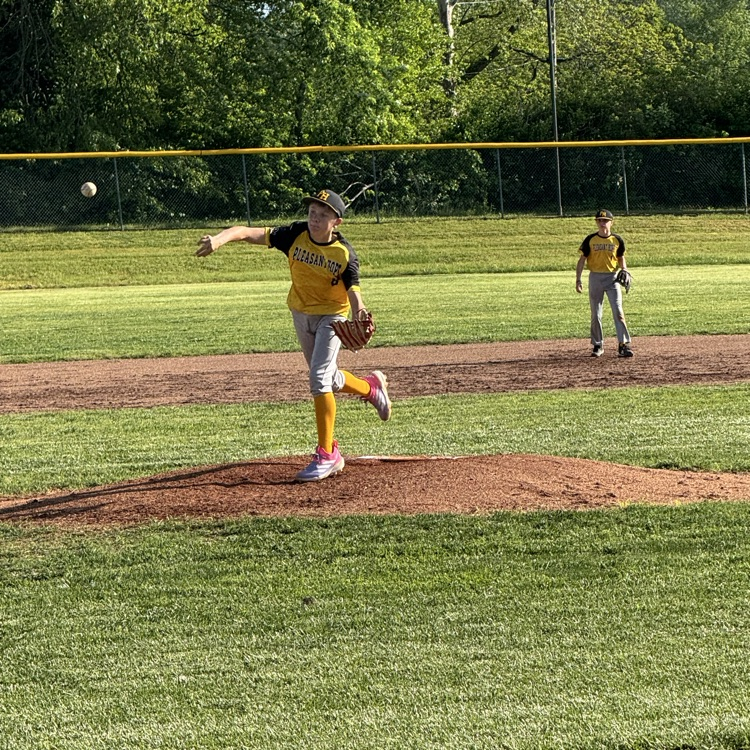 PHMS Boys Baseball vs. Crane 4-29 - 3