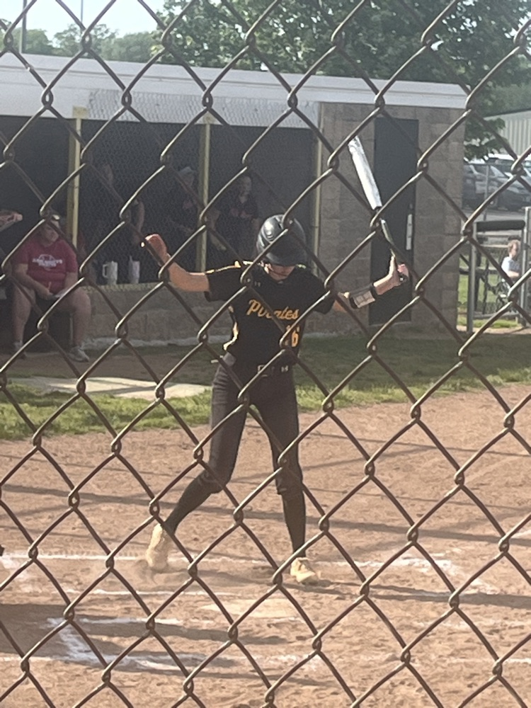PHHS softball 9