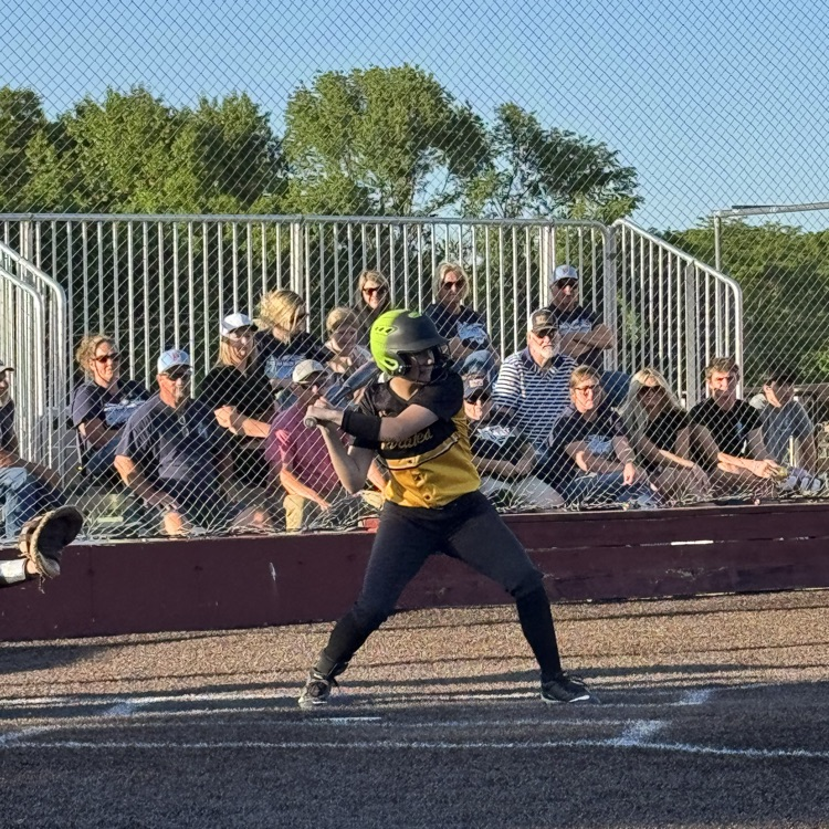 PHHS Softball vs Plato - 5