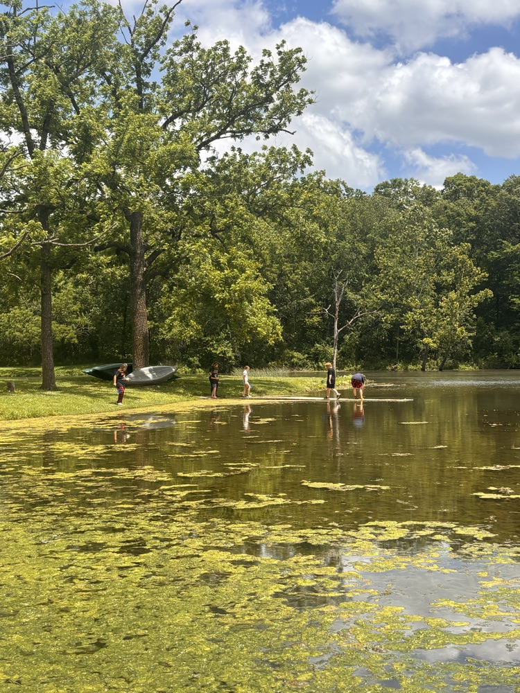 Pond investigation 