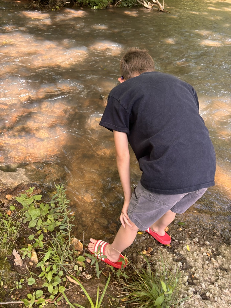 Studying the stream 