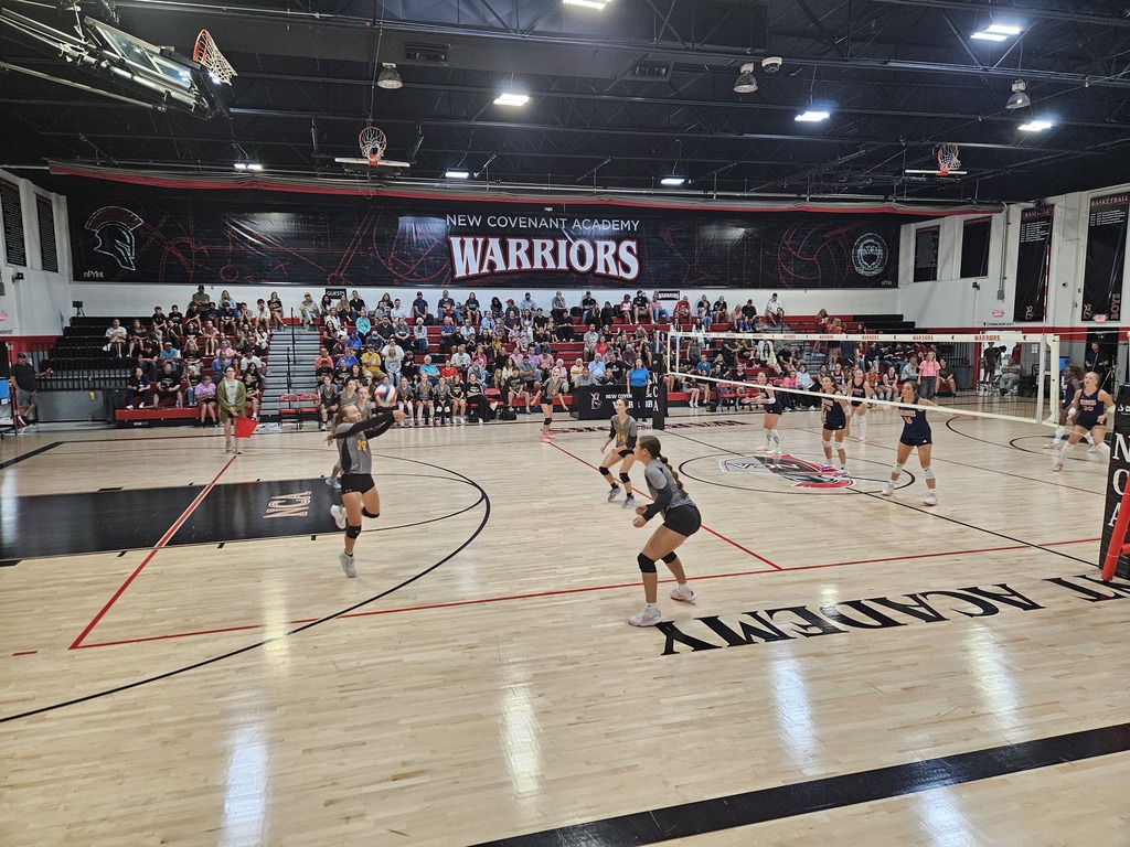 Volleyball pic 1