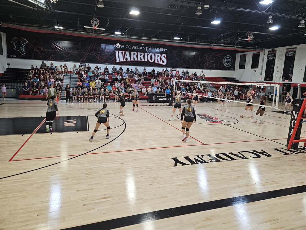 volleyball pic 3