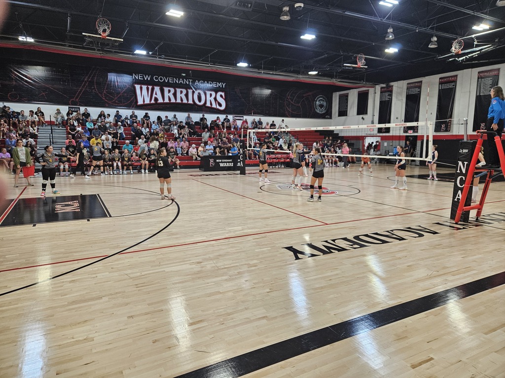 volleyball pic 5