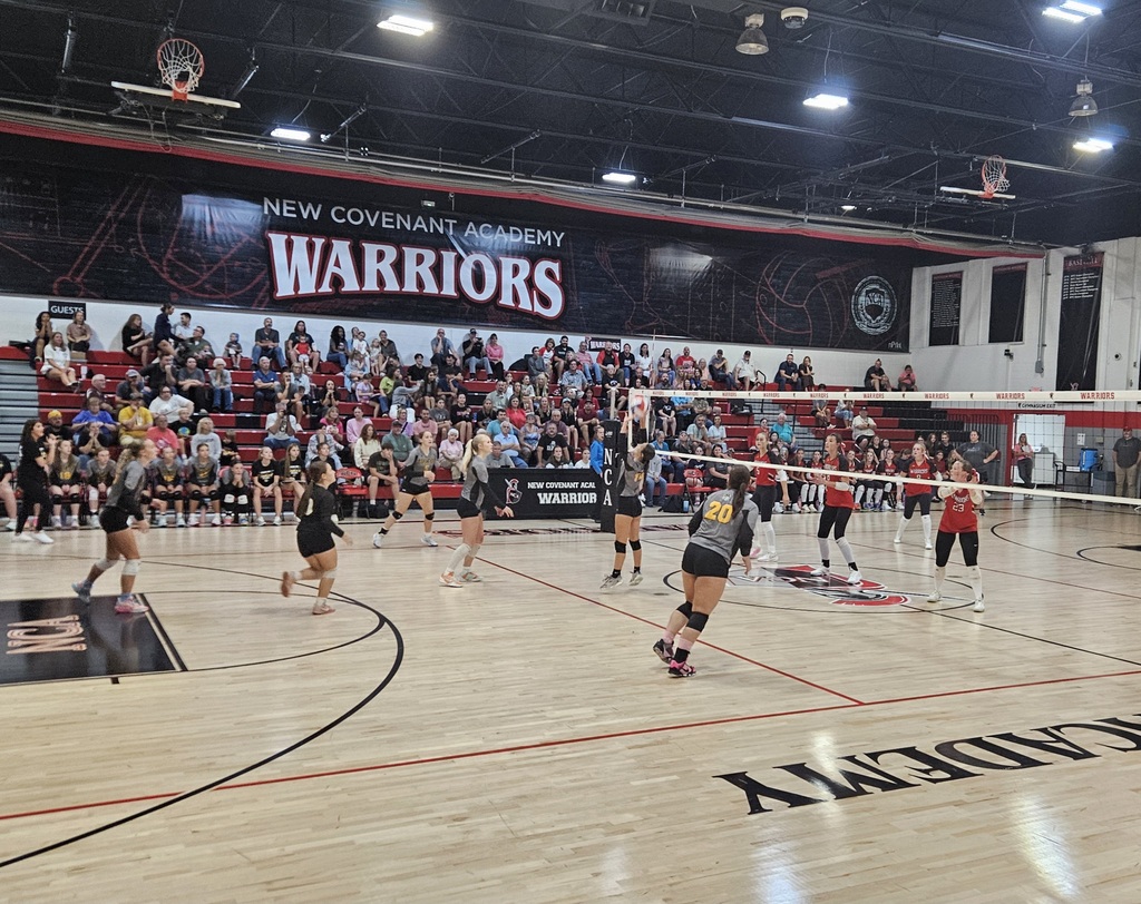 volleyball pic 6