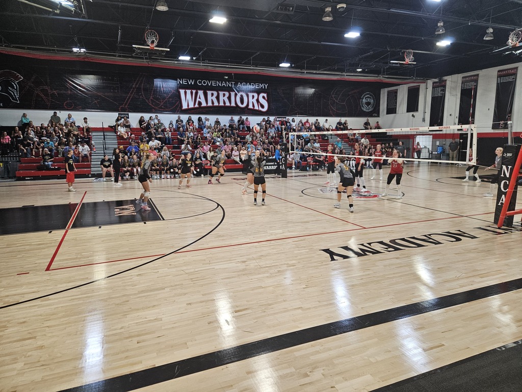 volleyball pic 7