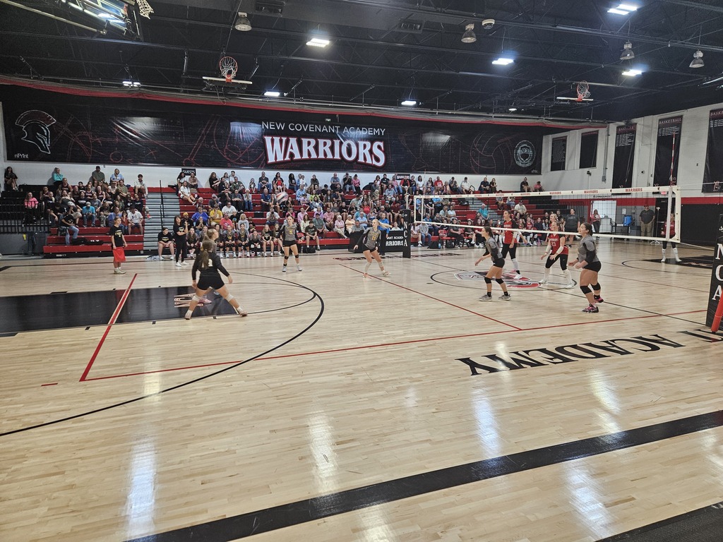 volleyball pic 8