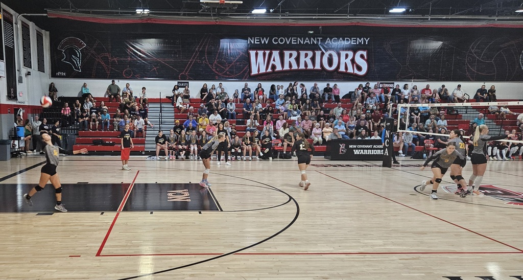 volleyball pic 10
