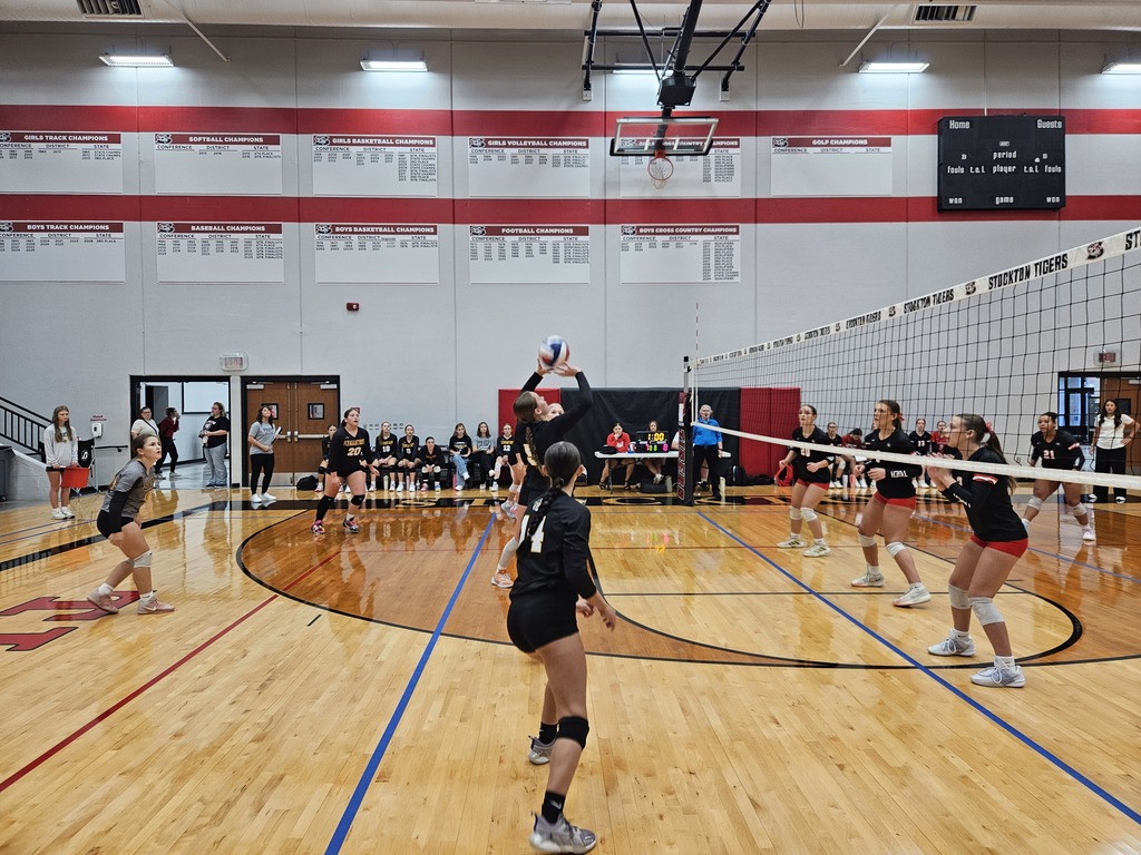 Stockton Volleyball Tournament pic 1